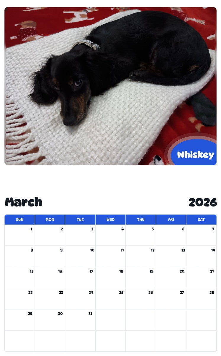 November 2025 - October 2026 Whiskey - Pawidols Pet Calendar