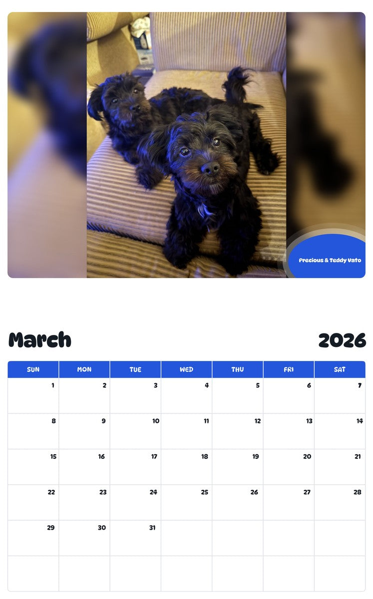 November 2025 - October 2026 Precious & Teddy Vato - Pawidols Pet Calendar