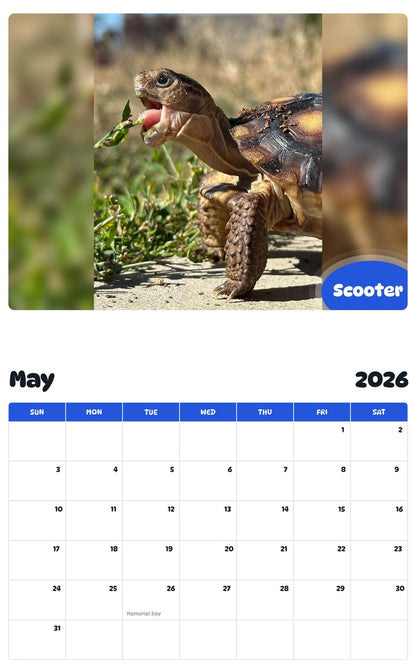 2026 - 2027 Scooter - Pawidols Pet Calendar
