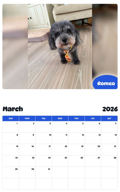November 2025 - October 2026 Romeo - Pawidols Pet Calendar