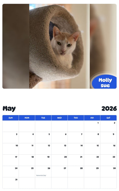 2026 - 2027 Molly sue - Pawidols Pet Calendar