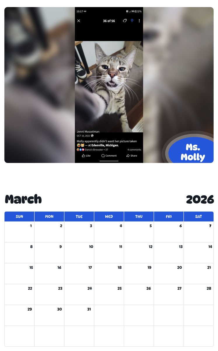 November 2025 - October 2026 Ms. Molly - Pawidols Pet Calendar