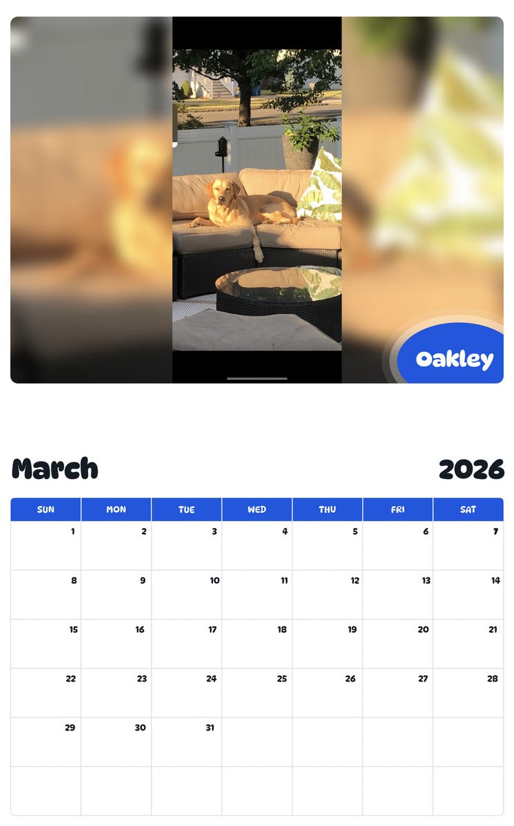November 2025 - October 2026 Oakley - Pawidols Pet Calendar