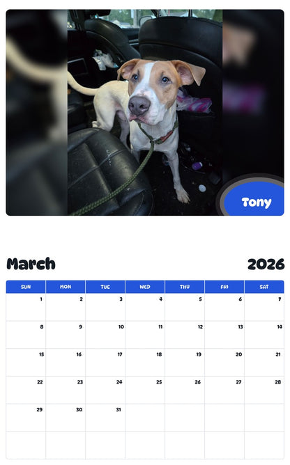 November 2025 - October 2026 Tony - Pawidols Pet Calendar