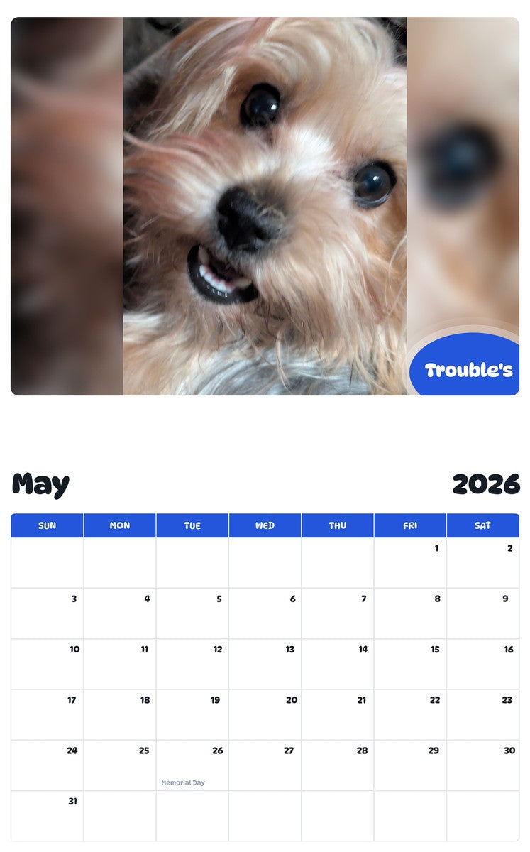 2026 - 2027 Trouble's - Pawidols Pet Calendar