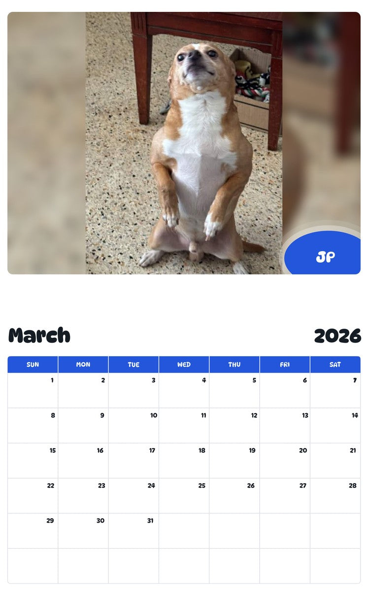 November 2025 - October 2026 JP - Pawidols Pet Calendar