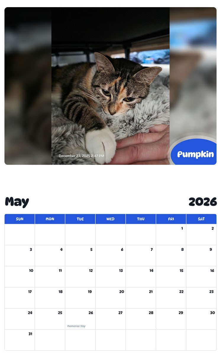 2026 - 2027 Pumpkin - Pawidols Pet Calendar