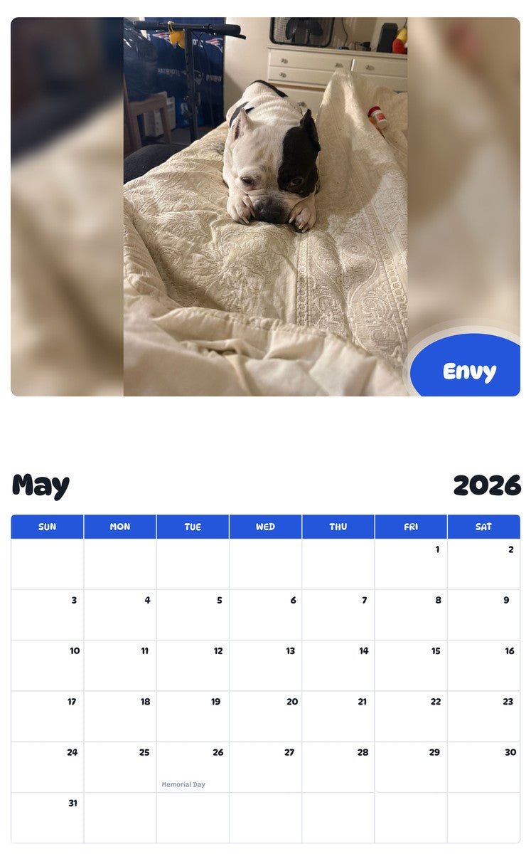 2026 - 2027 Envy - Pawidols Pet Calendar