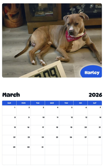 November 2025 - October 2026 Harley - Pawidols Pet Calendar