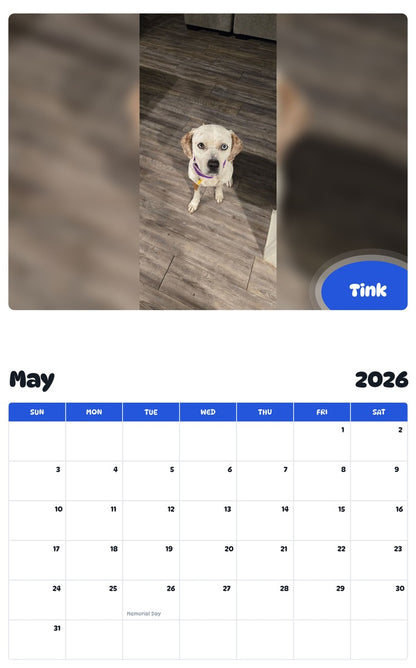 2026 - 2027 Tink - Pawidols Pet Calendar