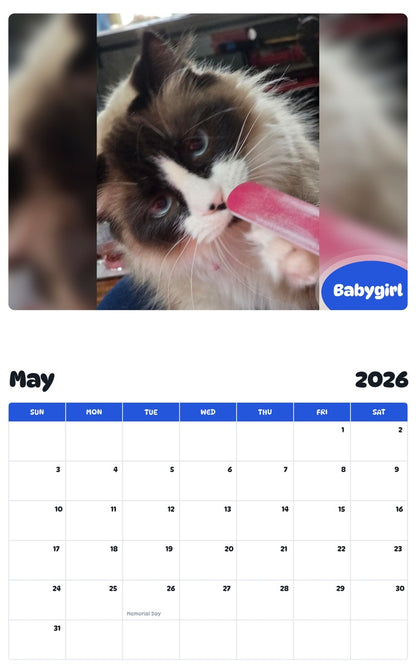 2026 - 2027 Babygirl - Pawidols Pet Calendar