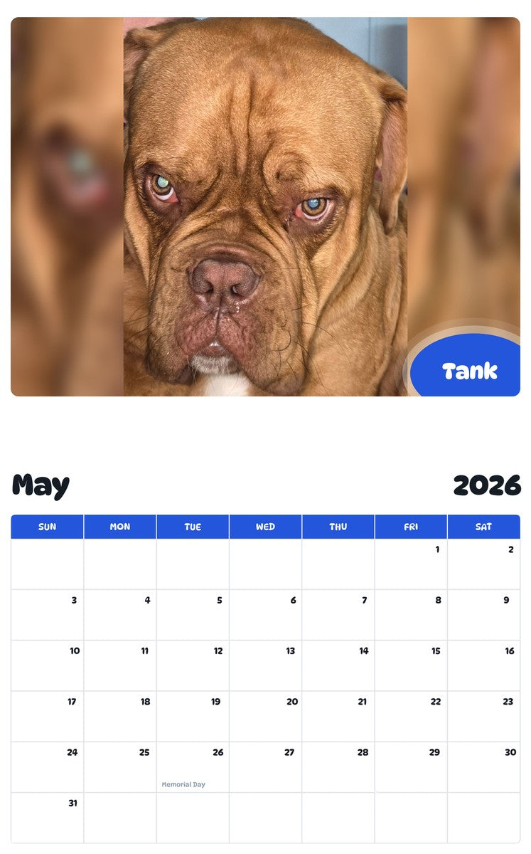 2026 - 2027 Tank - Pawidols Pet Calendar