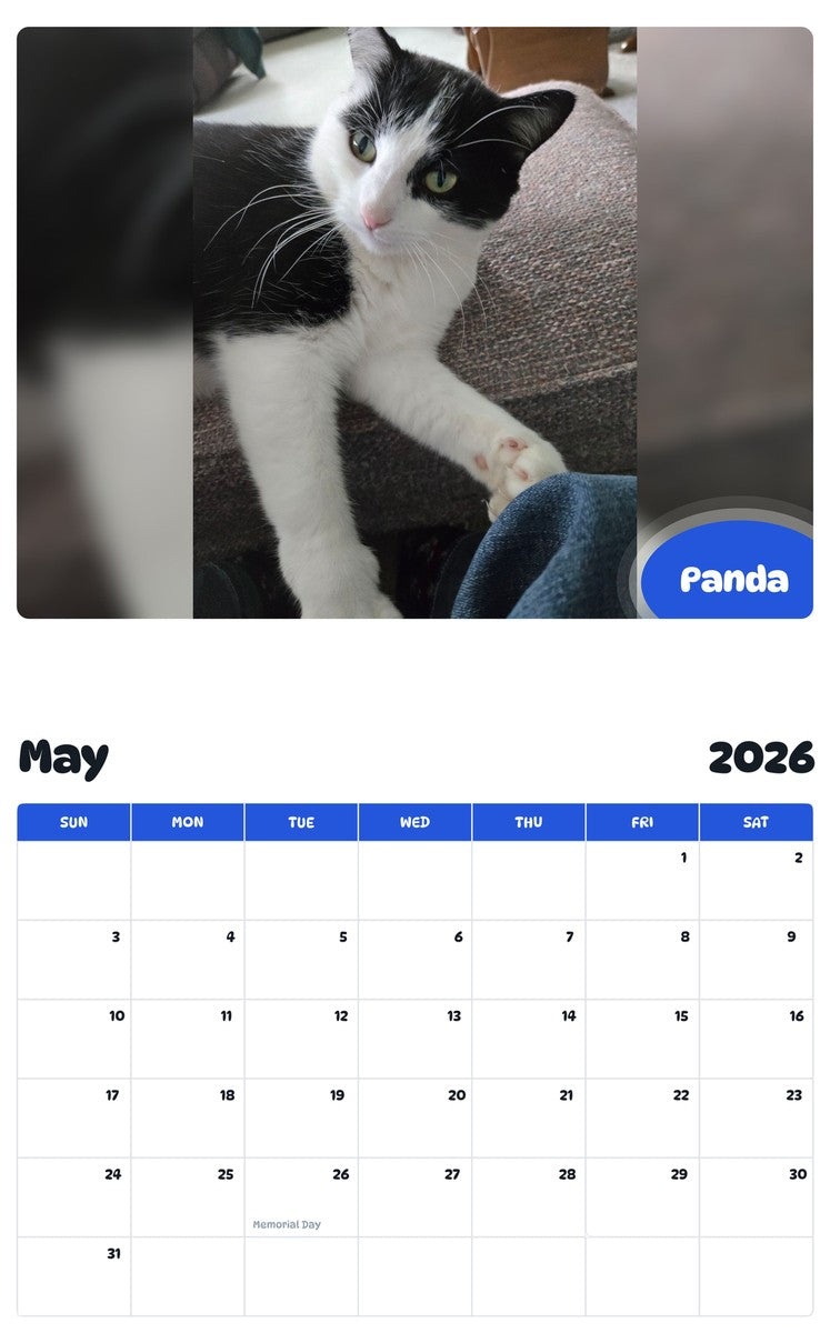 2026 - 2027 Panda - Pawidols Pet Calendar