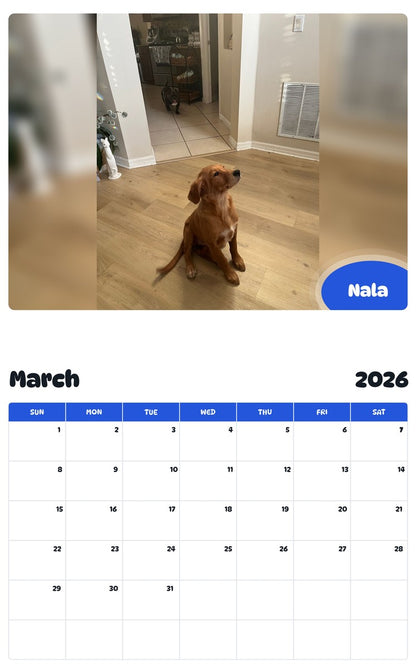 November 2025 - October 2026 Nala - Pawidols Pet Calendar