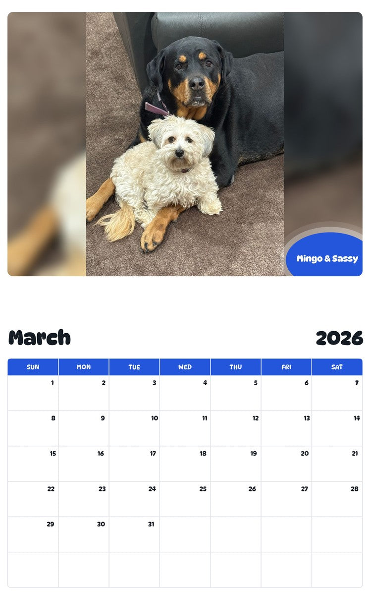November 2025 - October 2026 Mingo & Sassy - Pawidols Pet Calendar
