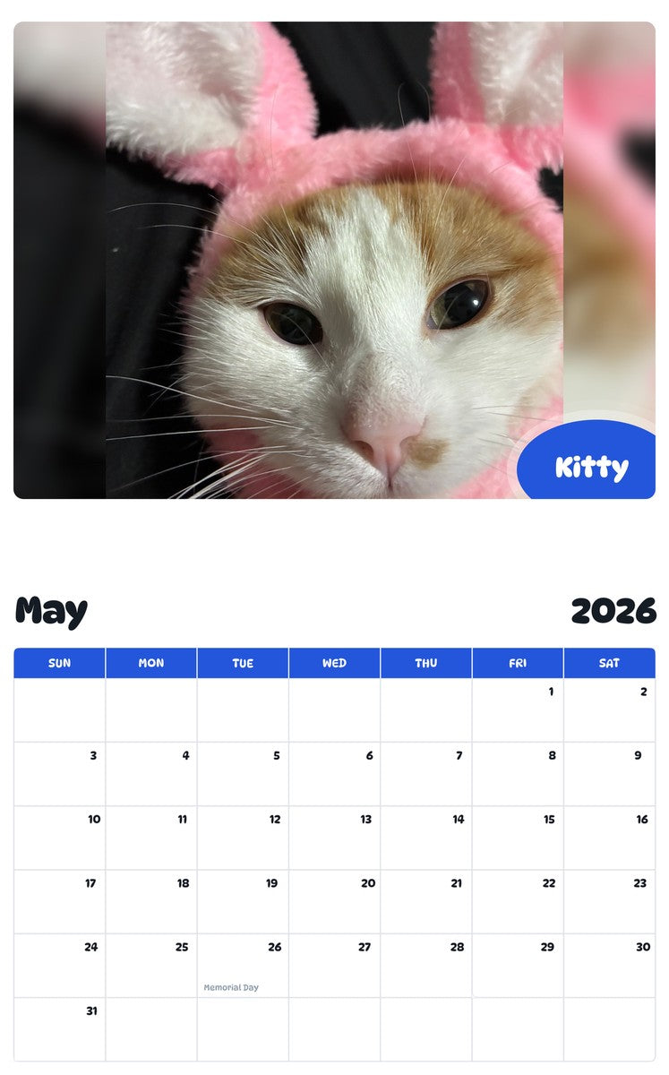 2026 - 2027 Kitty - Pawidols Pet Calendar