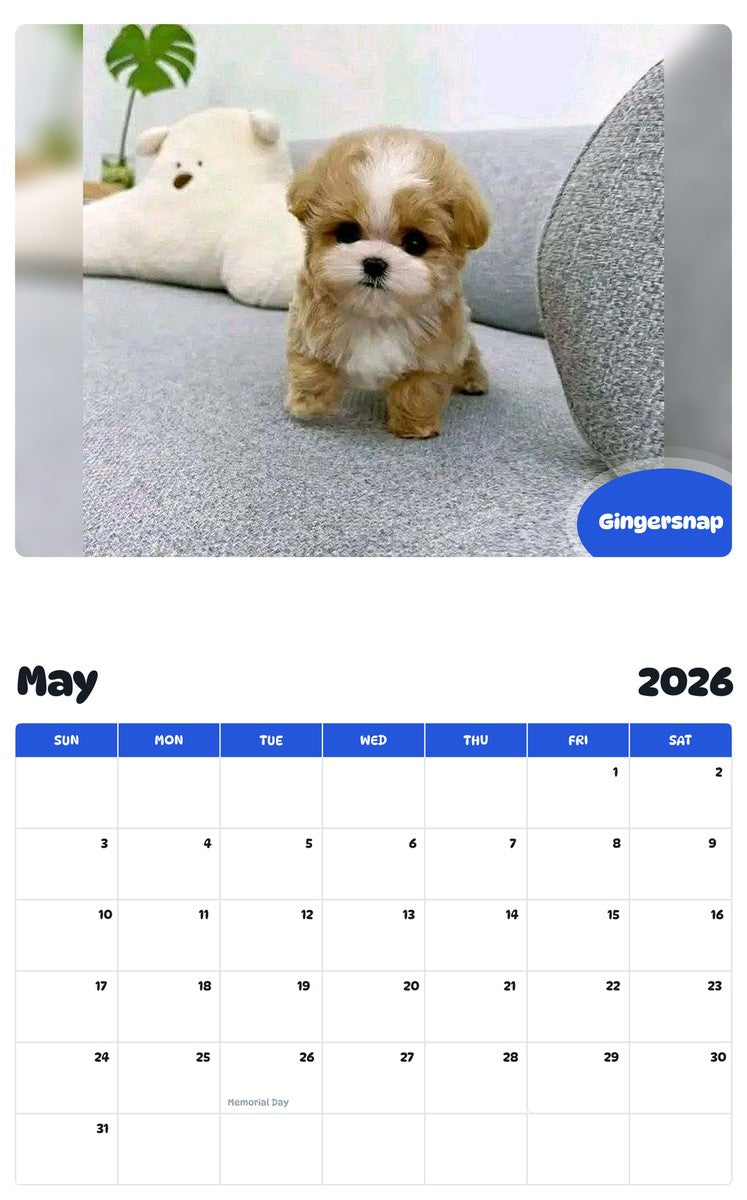 2026 - 2027 Gingersnap - Pawidols Pet Calendar