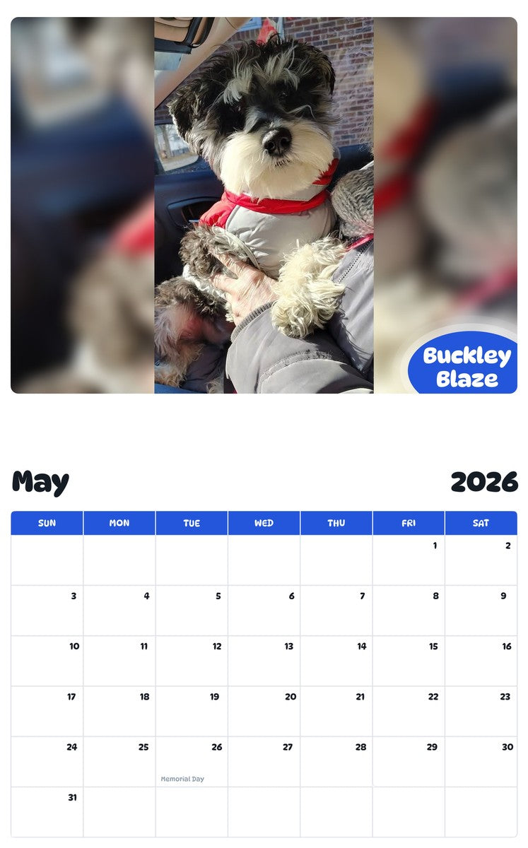 2026 - 2027 Buckley Blaze - Pawidols Pet Calendar