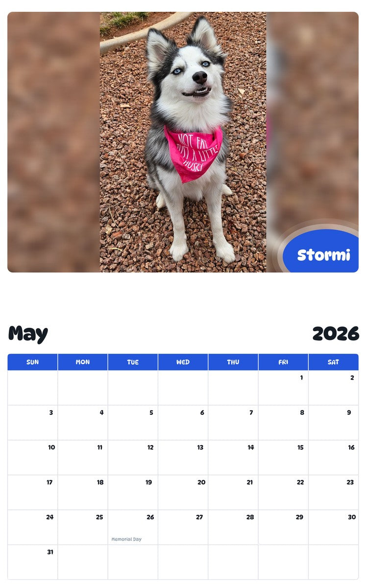 2026 - 2027 Stormi - Pawidols Pet Calendar