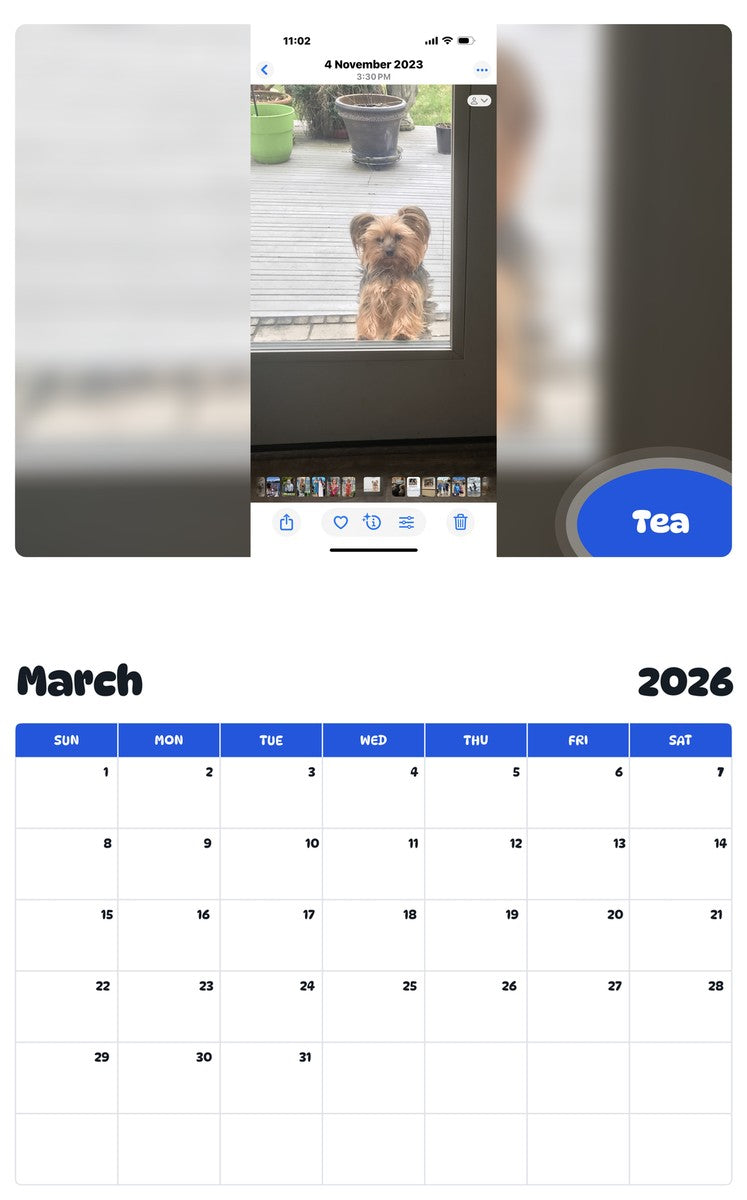 November 2025 - October 2026 Tea - Pawidols Pet Calendar