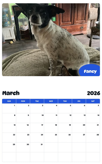 November 2025 - October 2026 Fancy - Pawidols Pet Calendar