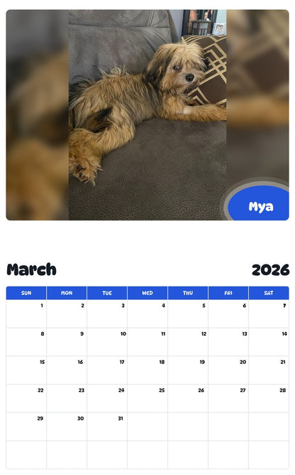 November 2025 - October 2026 Mya - Pawidols Pet Calendar