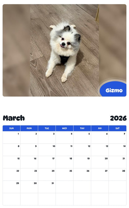 November 2025 - October 2026 Gizmo - Pawidols Pet Calendar