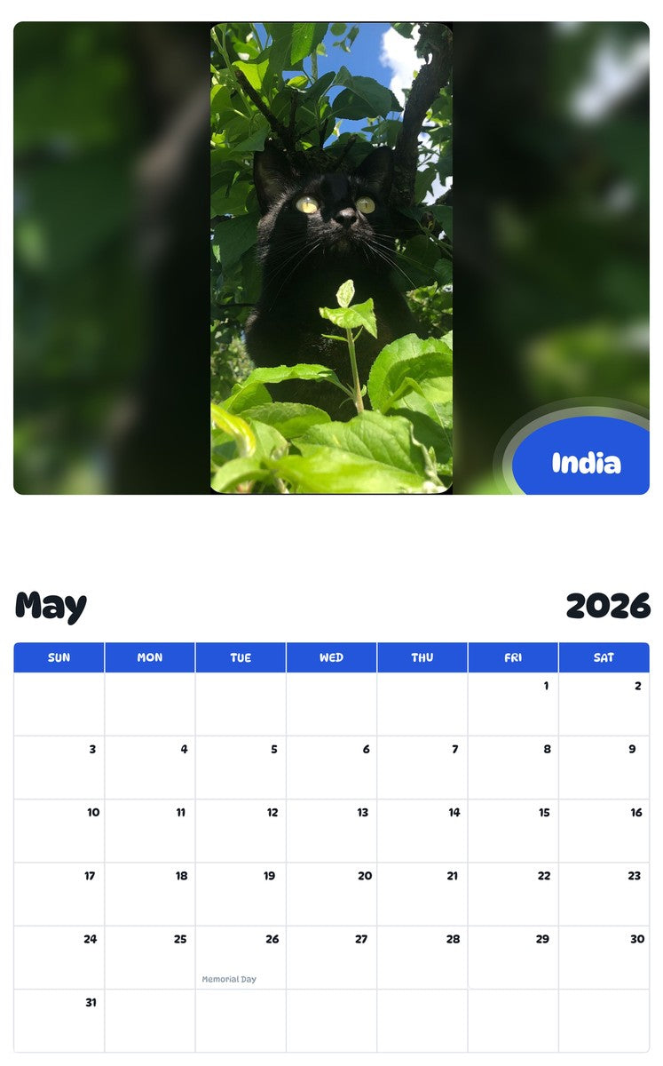 2026 - 2027 India - Pawidols Pet Calendar
