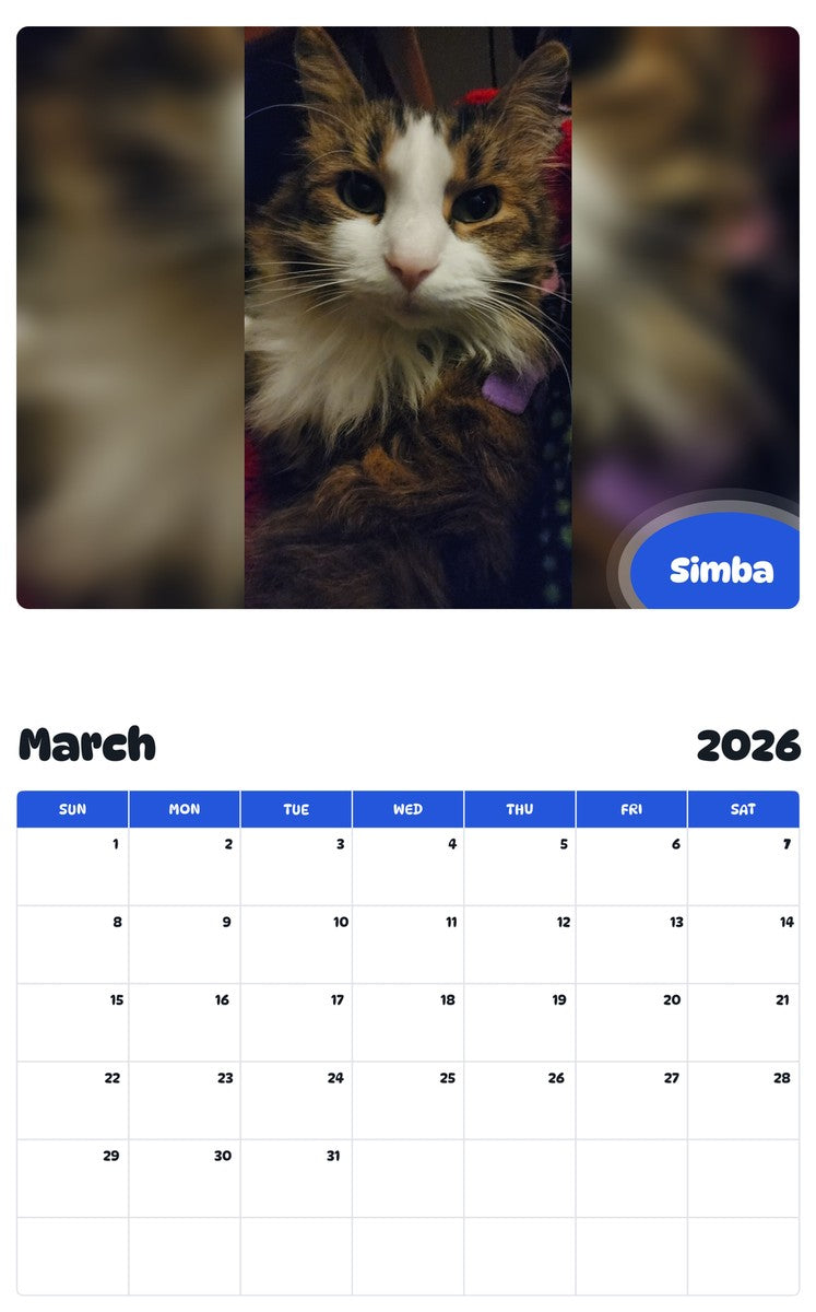 November 2025 - October 2026 Simba - Pawidols Pet Calendar