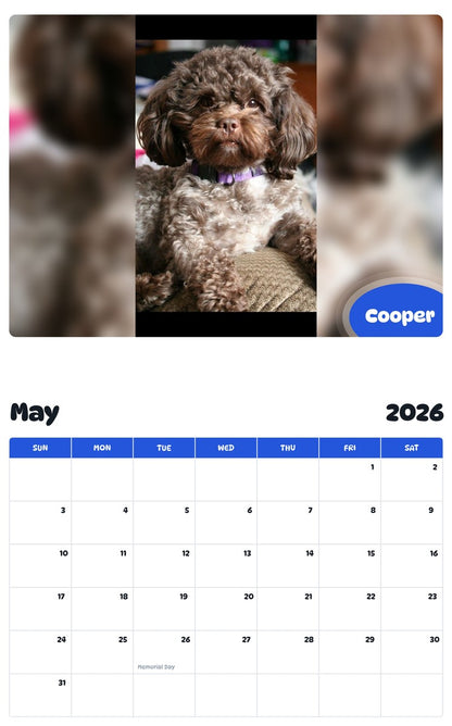 2026 - 2027 Cooper - Pawidols Pet Calendar