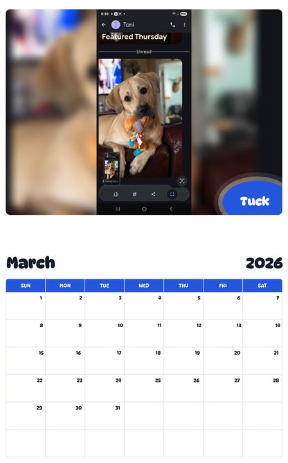 November 2025 - October 2026 Tuck - Pawidols Pet Calendar
