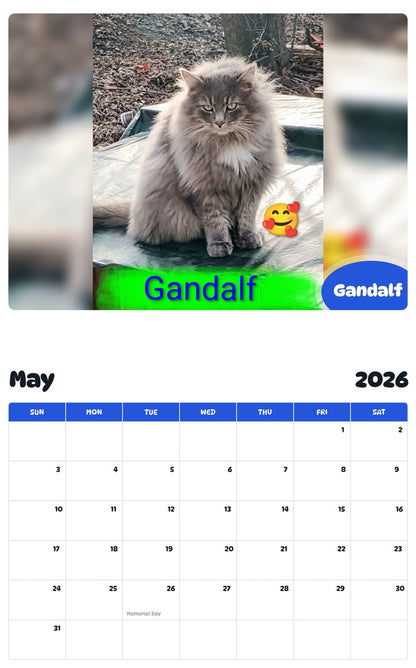 2026 - 2027 Gandalf - Pawidols Pet Calendar