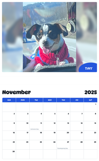 July 2025 - June 2026 Tiny - Pawidols Pet Calendar