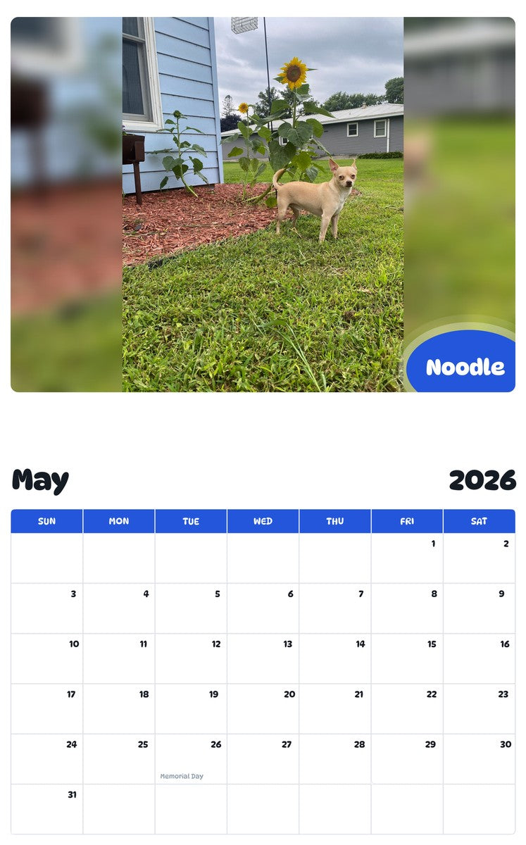 2026 - 2027 Noodle - Pawidols Pet Calendar