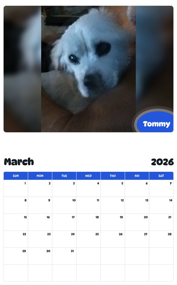 November 2025 - October 2026 Tommy - Pawidols Pet Calendar