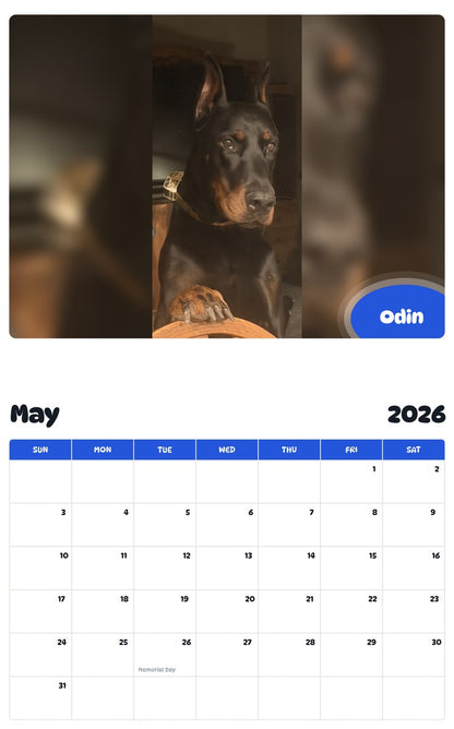 2026 - 2027 Odin - Pawidols Pet Calendar