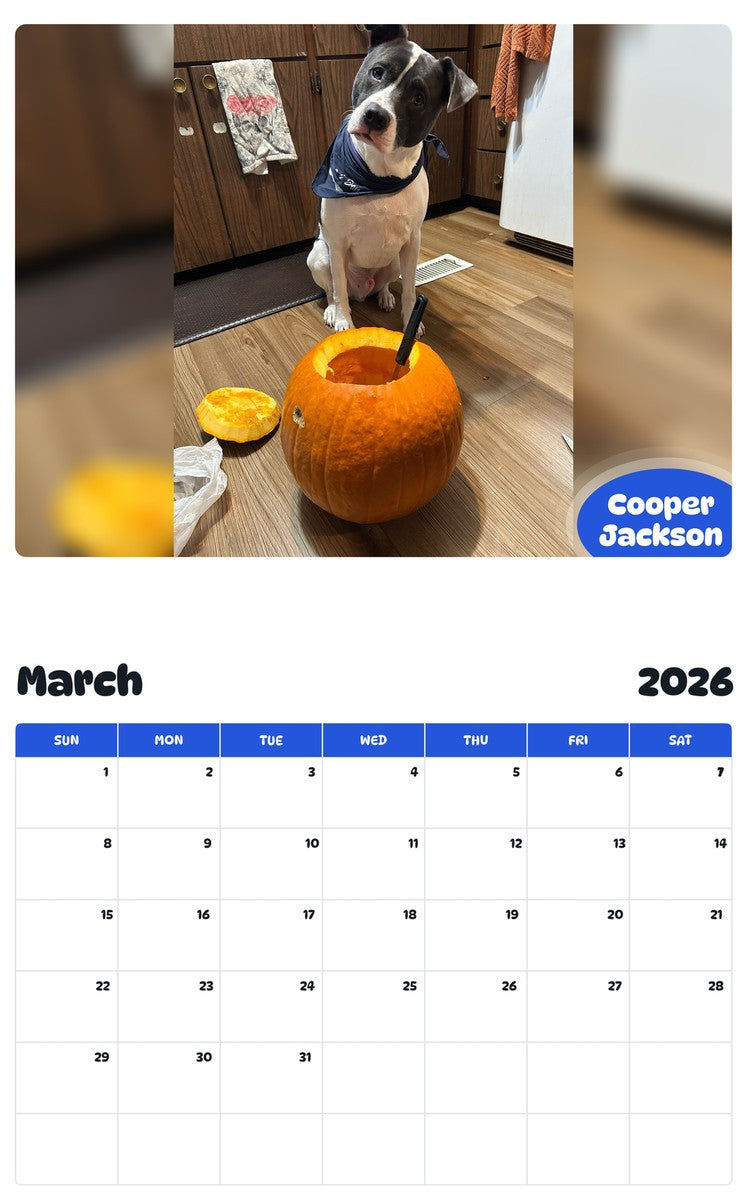 November 2025 - October 2026 Cooper Jackson - Pawidols Pet Calendar