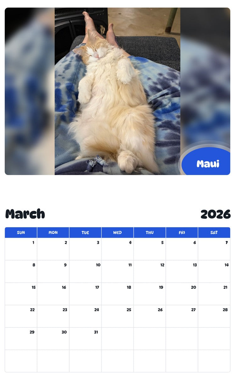 November 2025 - October 2026 Maui - Pawidols Pet Calendar