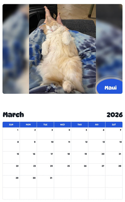November 2025 - October 2026 Maui - Pawidols Pet Calendar