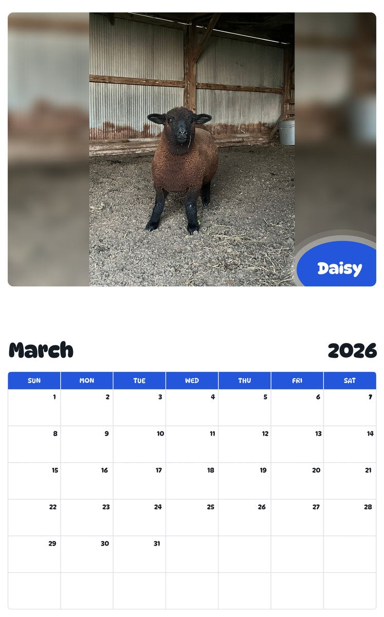 November 2025 - October 2026 Daisy - Pawidols Pet Calendar