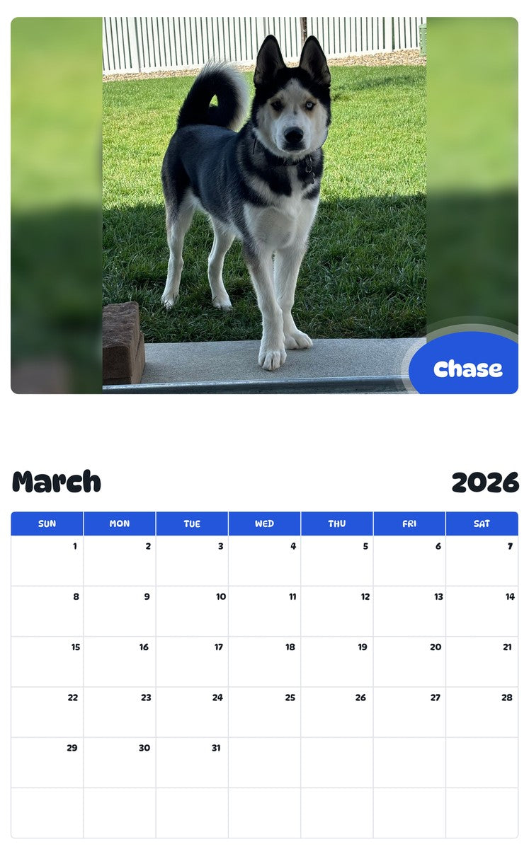 November 2025 - October 2026 Chase - Pawidols Pet Calendar