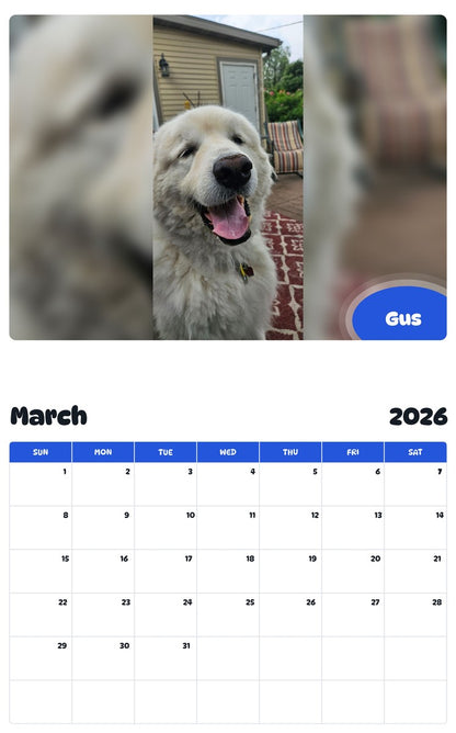 November 2025 - October 2026 Gus - Pawidols Pet Calendar