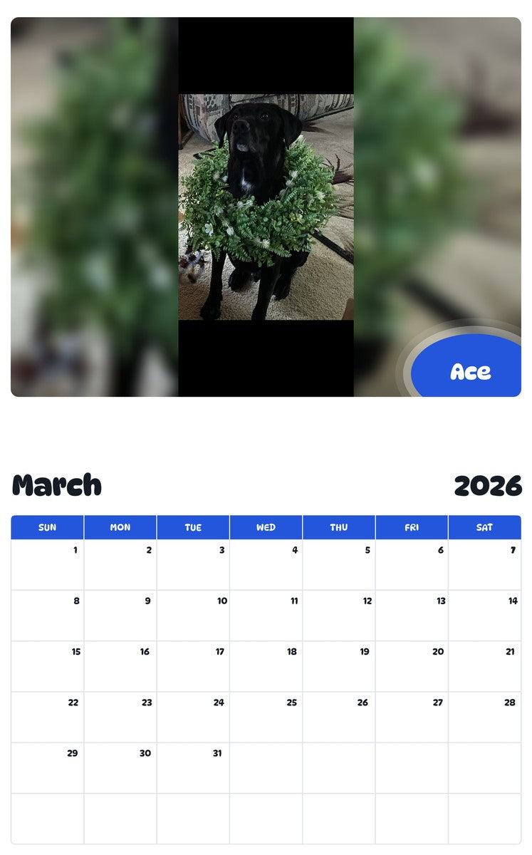 November 2025 - October 2026 Ace - Pawidols Pet Calendar