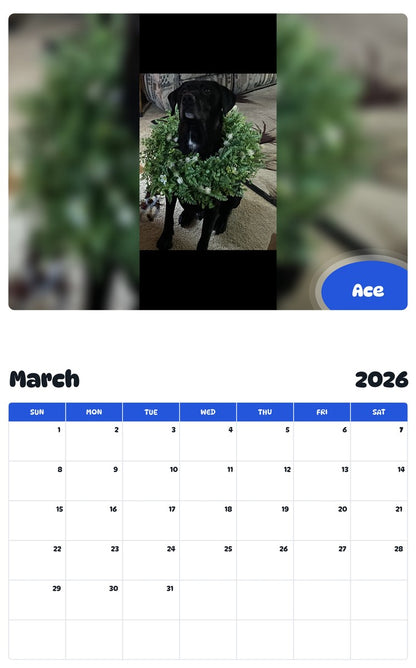 November 2025 - October 2026 Ace - Pawidols Pet Calendar