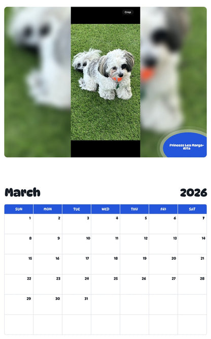 November 2025 - October 2026 Princess Lea Marga-Rita - Pawidols Pet Calendar
