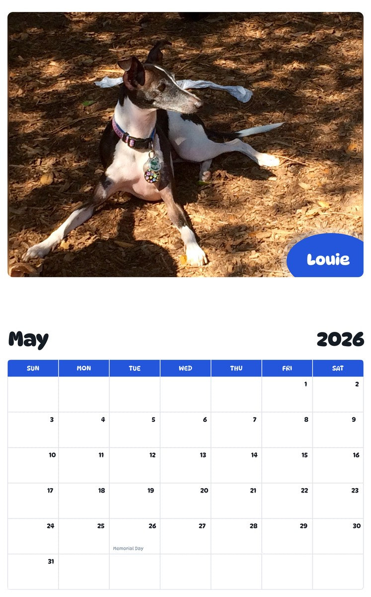 2026 - 2027 Louie - Pawidols Pet Calendar