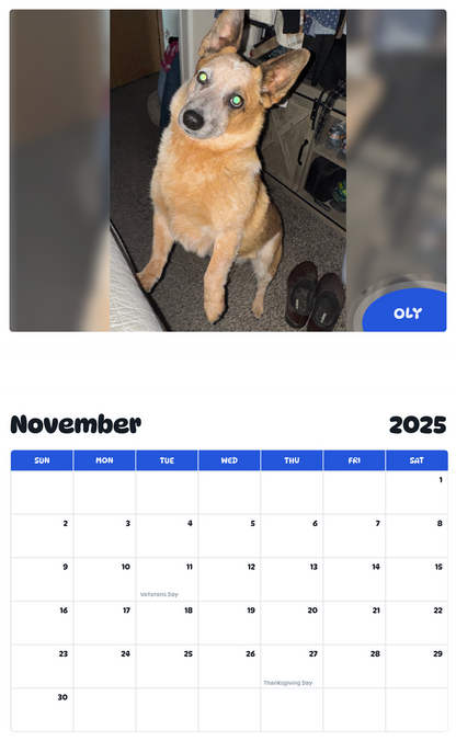 July 2025 - June 2026 Oly - Pawidols Pet Calendar