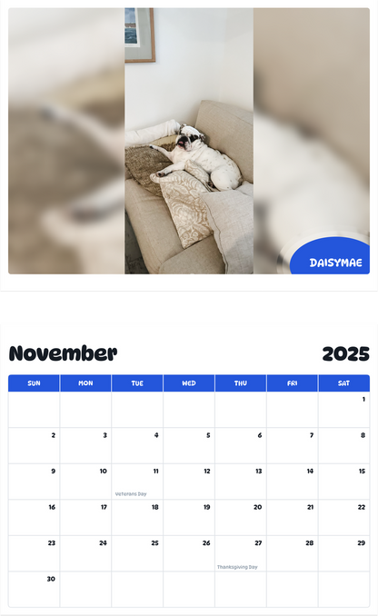 July 2025 - June 2026 Daisymae - Pawidols Pet Calendar