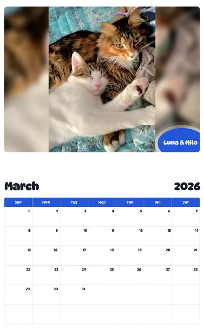 November 2025 - October 2026 Luna & Milo - Pawidols Pet Calendar