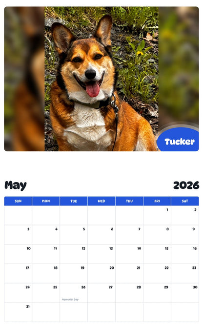 2026 - 2027 Tucker - Pawidols Pet Calendar